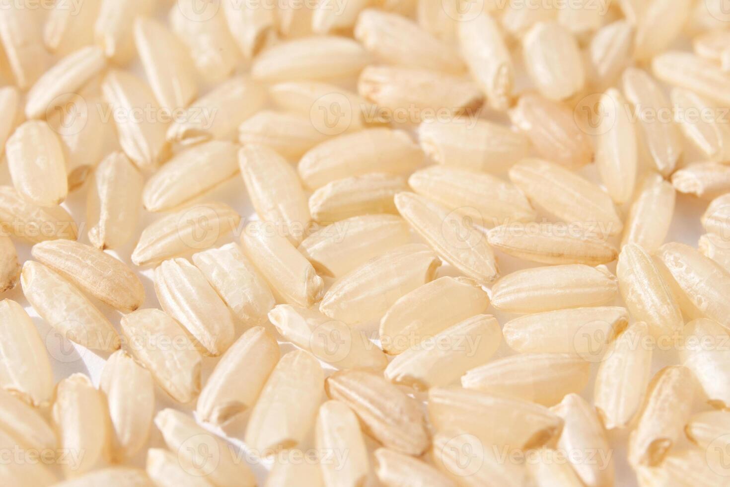 A background of dry brown rice grains showcases the integral, uncooked basmati texture. The macro view highlights the raw nature of this organic, whole food. photo
