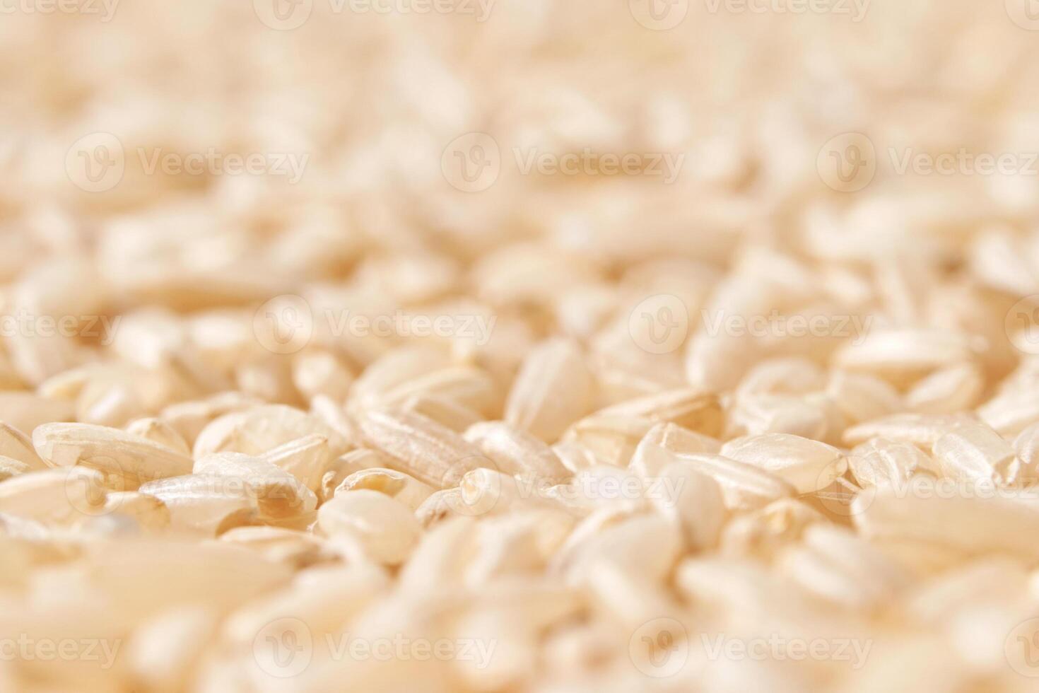 A background of dry brown rice grains showcases the integral, uncooked basmati texture. The macro view highlights the raw nature of this organic, whole food. photo