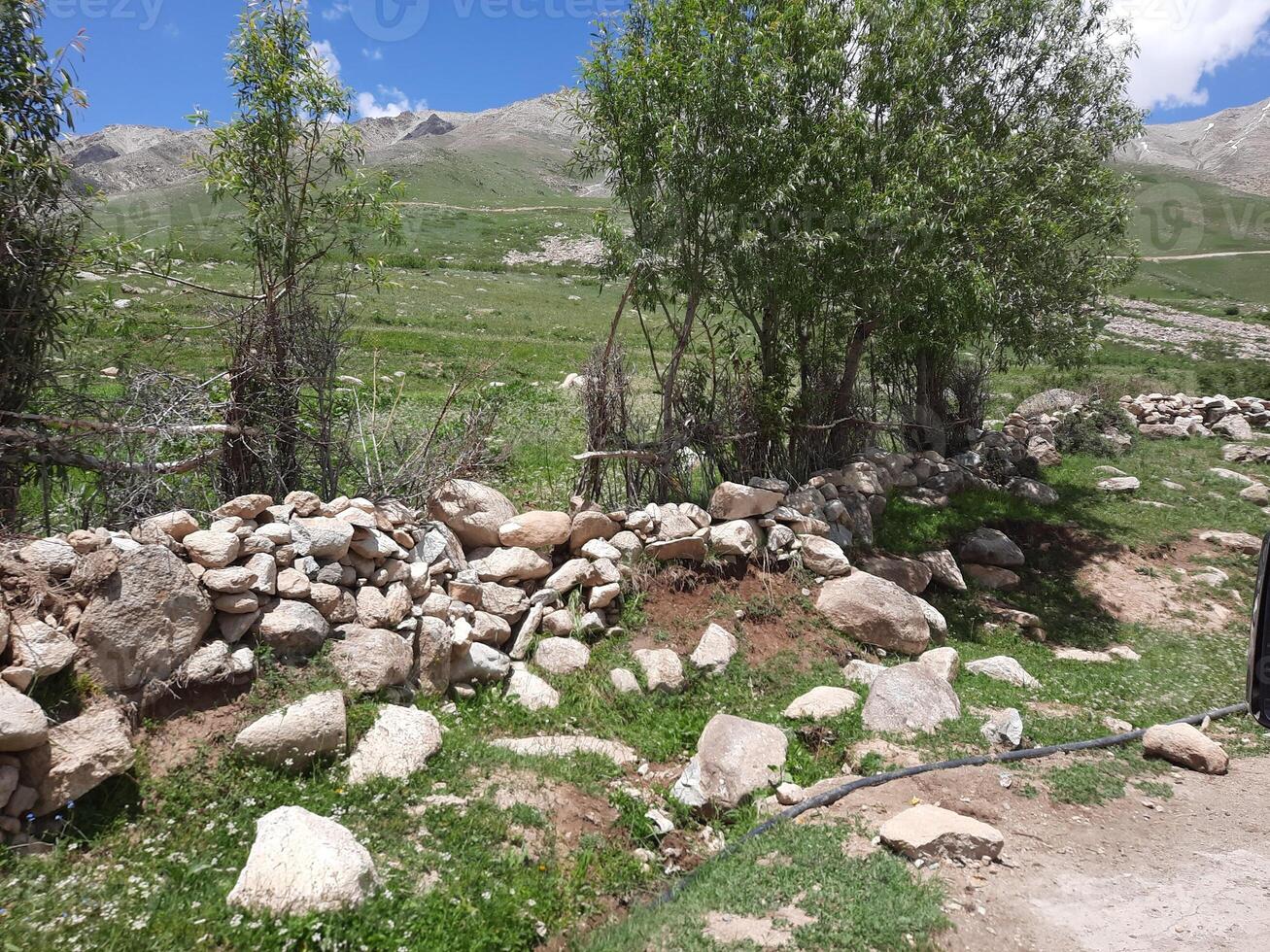 Beautiful daytime view of Deosai National Park in Gilgit-Baltistan, Pakistan. Deosai National is located between the Skardu District, Kharmang and Astore District in Gilgit Baltistan, Pakistan. photo