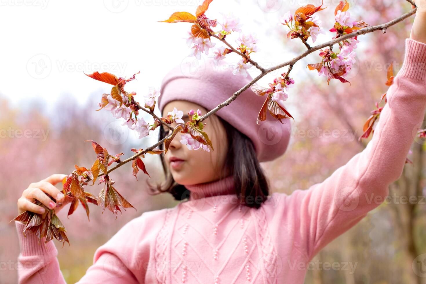 A little girl in a pink jumper hold a branch of cherry blossoms, in the park during the day photo