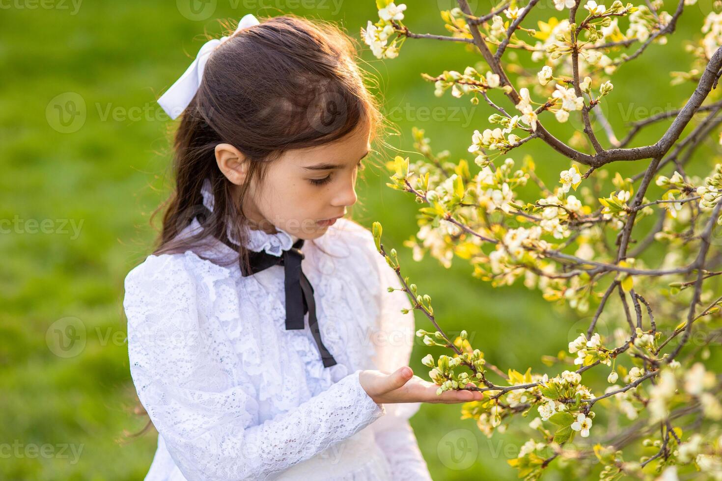 a beautiful girl in a white openwork dress, holding a branch of a tree blooming with white flowers photo