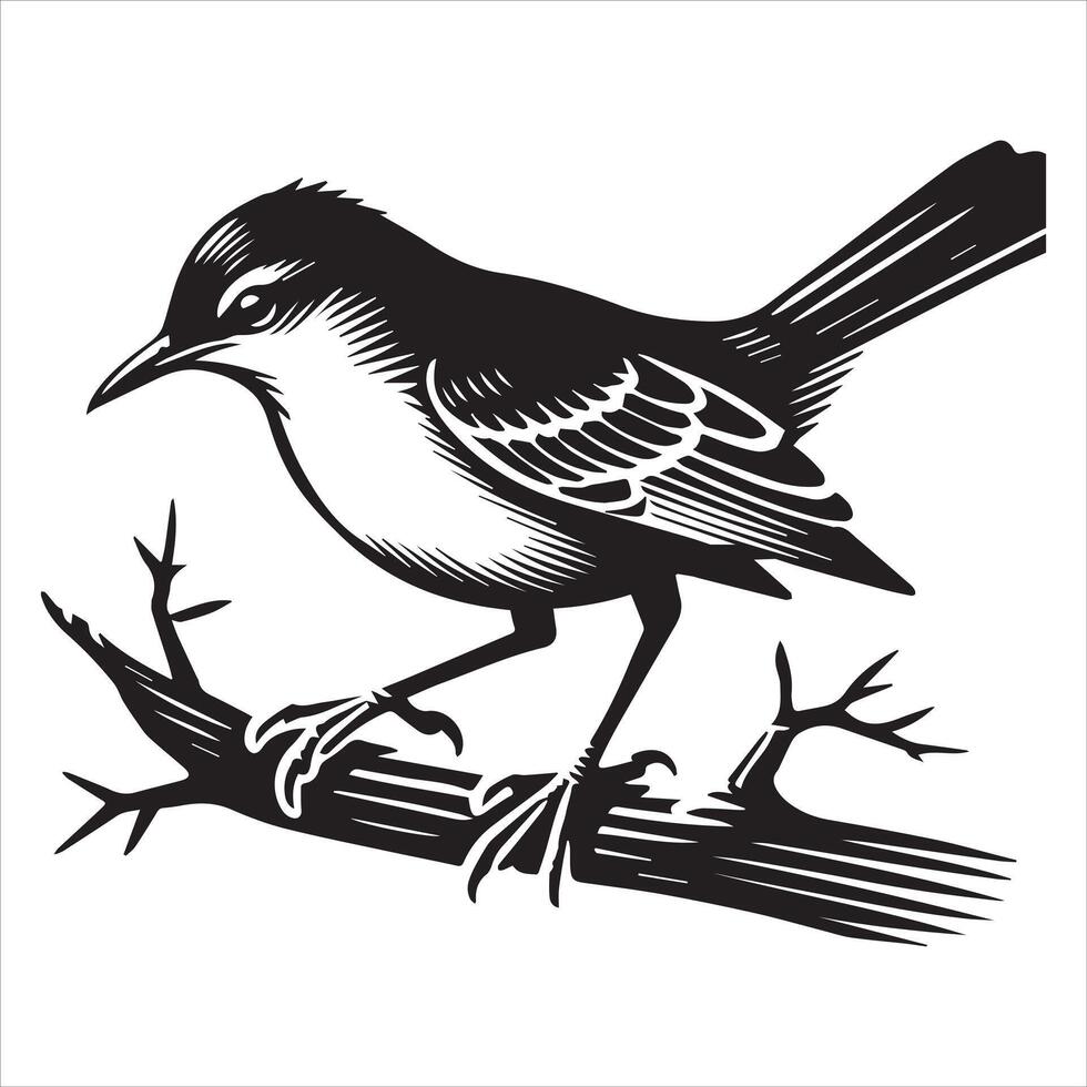 Northern mockingbird Clipart, Northern mockingbird silhouette, Mockingbird illustration in black and white vector