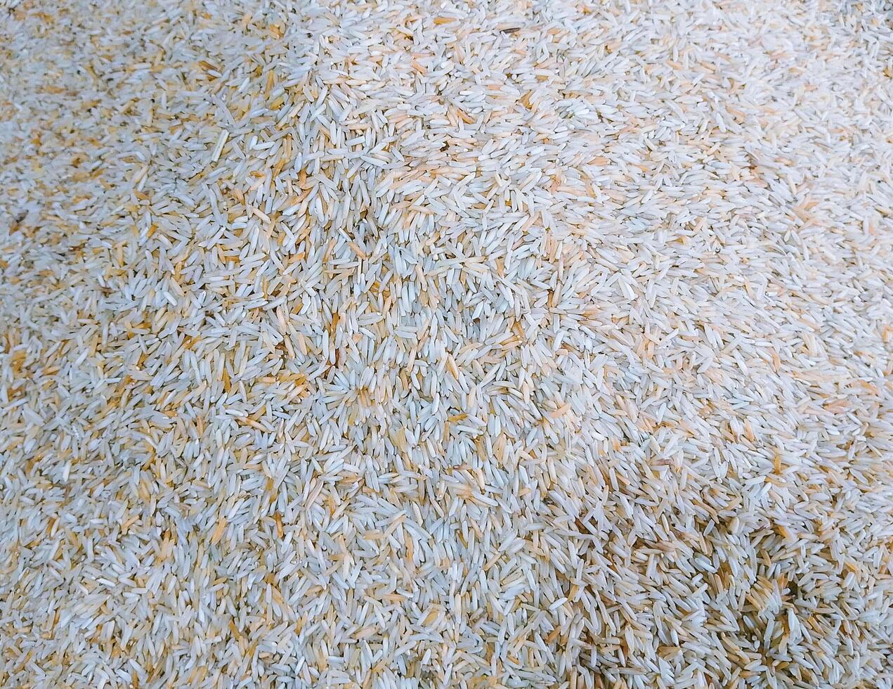 Closeup top down view of Rice Grains photo