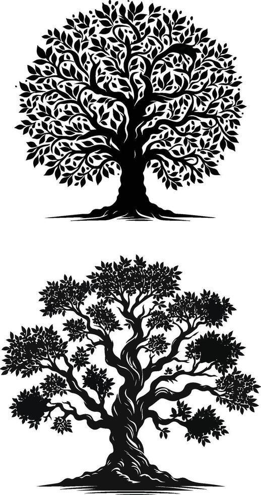 Elegant Tree Design Minimalist Botanical Art vector