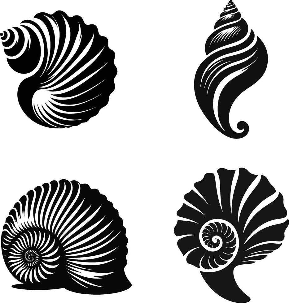 Elegant Sea Shell Design Minimalist Marine Art vector