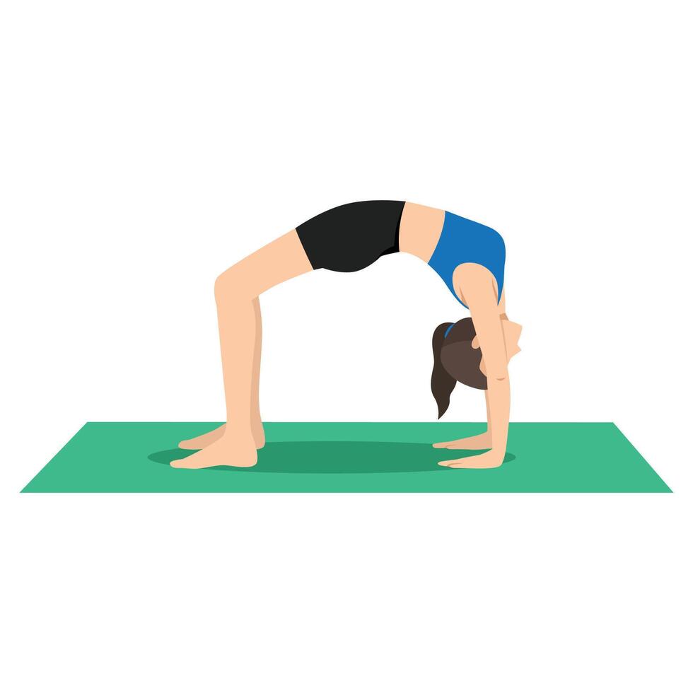 Woman doing Wheel pose, Chakrasana, Upward Bow Pose or Urdhva Dhanurasana. vector