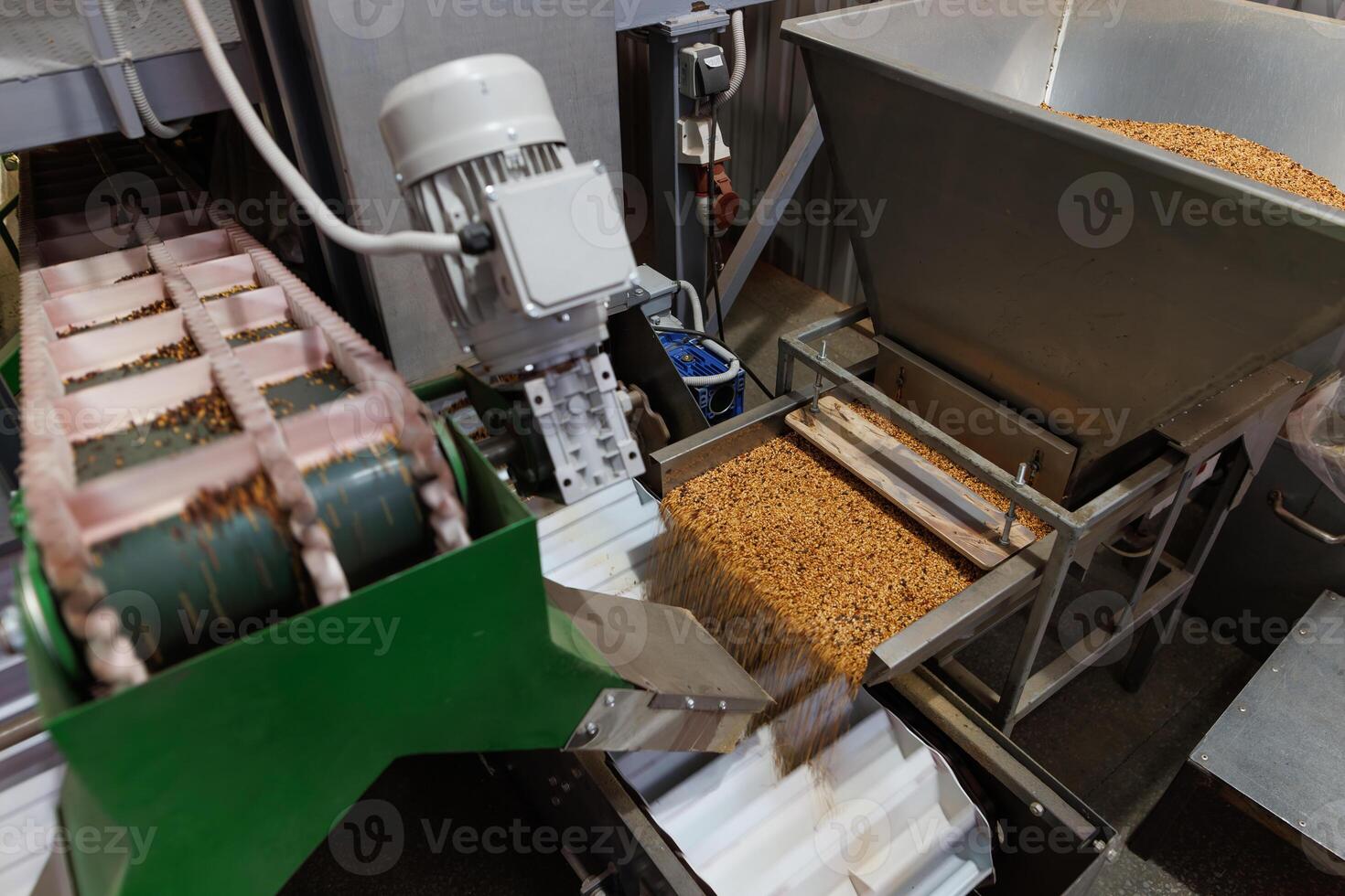Grain sorting machine, Paddy machine sorts grains of one crop, separates grain peeling products photo