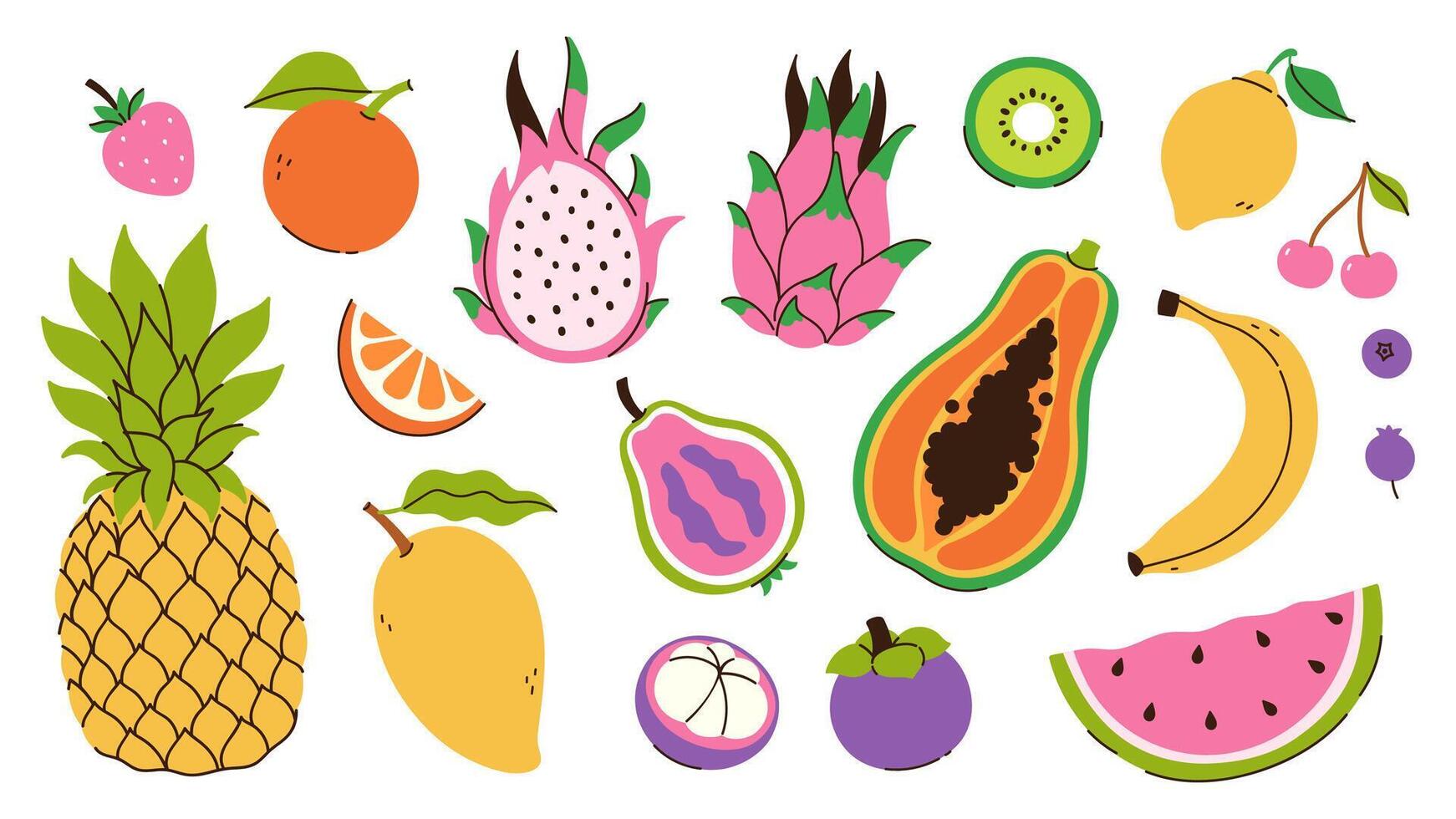 Set of juicy tropical fruits isolate on white background. graphics vector
