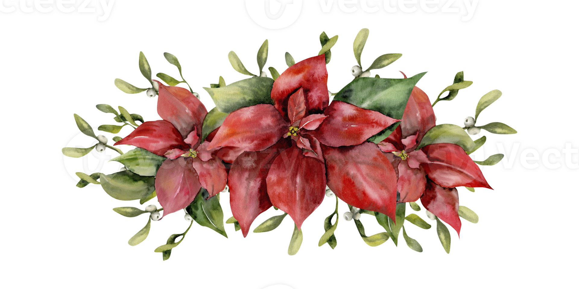 Watercolor Christmas poinsettia composition with green leaves, omela branches. Hand drawn new year and winter floral arrangement for wallpaper, poster, logo design. Box packing, flower shop decor png