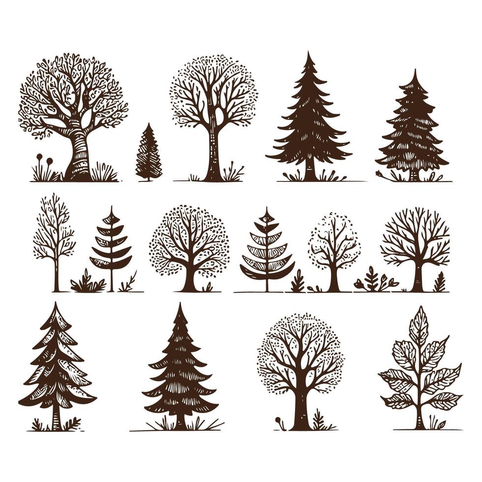Hand Drawn Tree Collection Unique Forest Illustrations vector