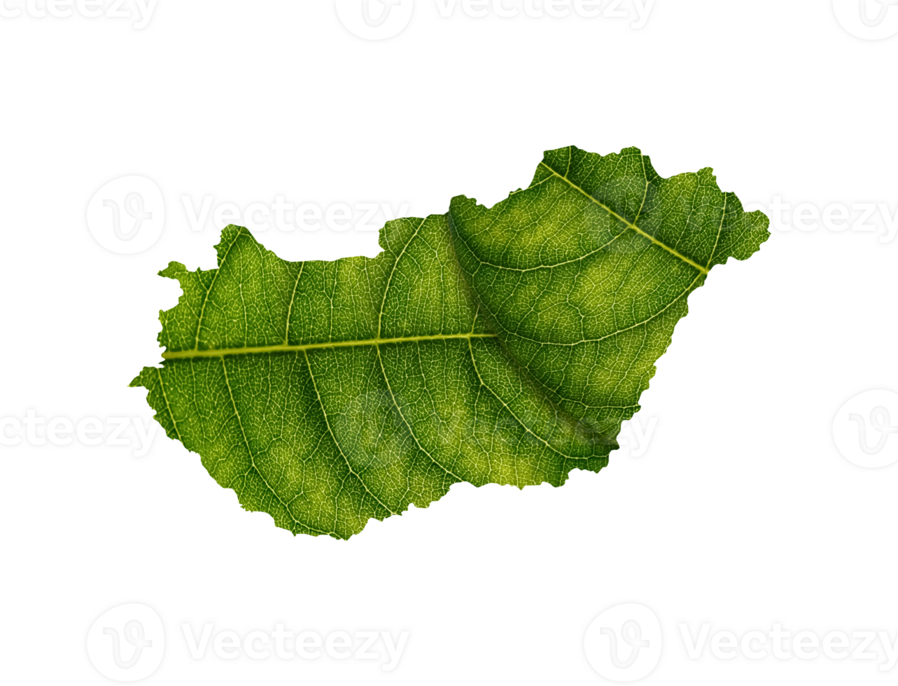 Hungary map made of green leaves ecology concept png