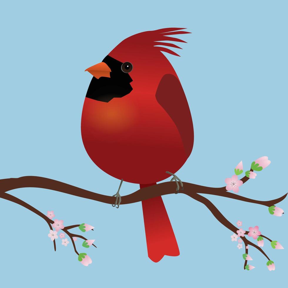 A very cute Northern cardinal bird in the shape of an egg. Blue background. The bird sits on a branch with pink blossoms. vector