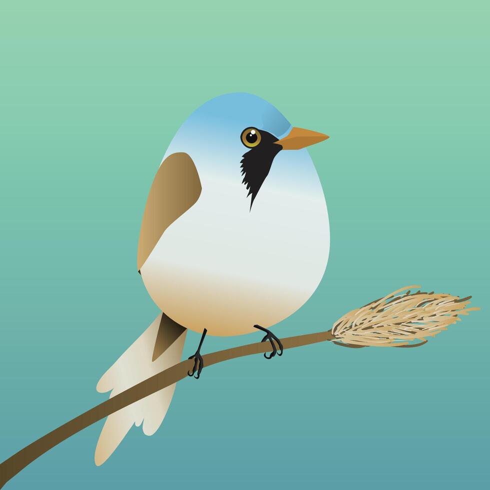 A very cute bearded reedling in the shape of an egg. Green blue gradient background. The bird sits on reed stalk. vector