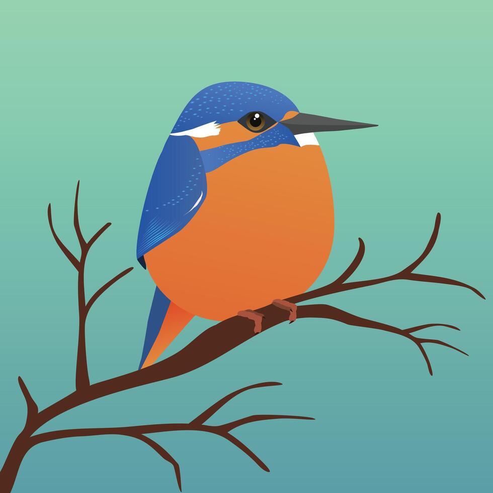 A very cute kingfisher bird in the shape of an egg. Blue green gradient background. The bird sits on a branch. vector
