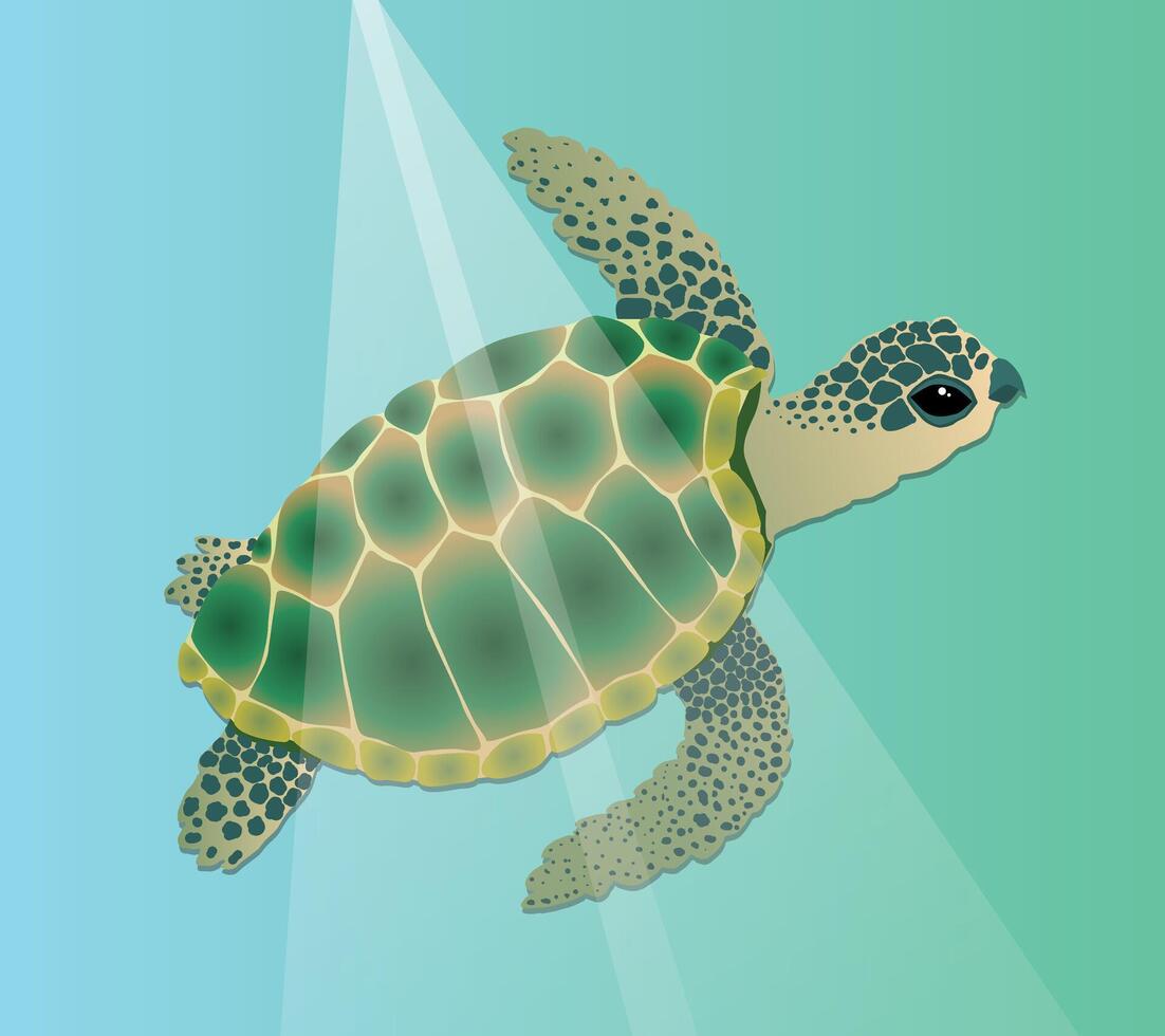 An illustration of a sea turtle swimming underwater. The reptile is green with a blue color and he has spots in a dark blue green shade on his head and legs. vector