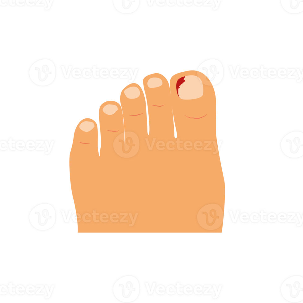 Foot cartoon. wallpaper. free space for text. copy space. Tear nails. png