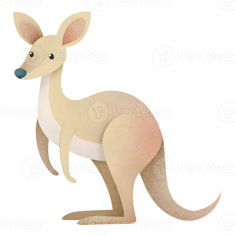 Illustration style cartoon cute, Kangaroo, simple and clean lines png