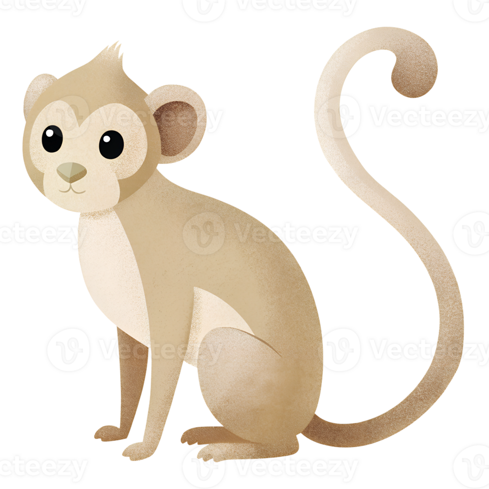 Illustration style cartoon cute, Squirrel Monkey, simple and clean lines png