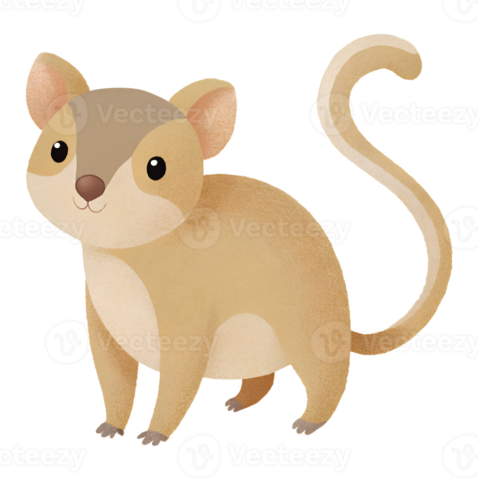Illustration style cartoon cute, Kinkajou, simple and clean lines png