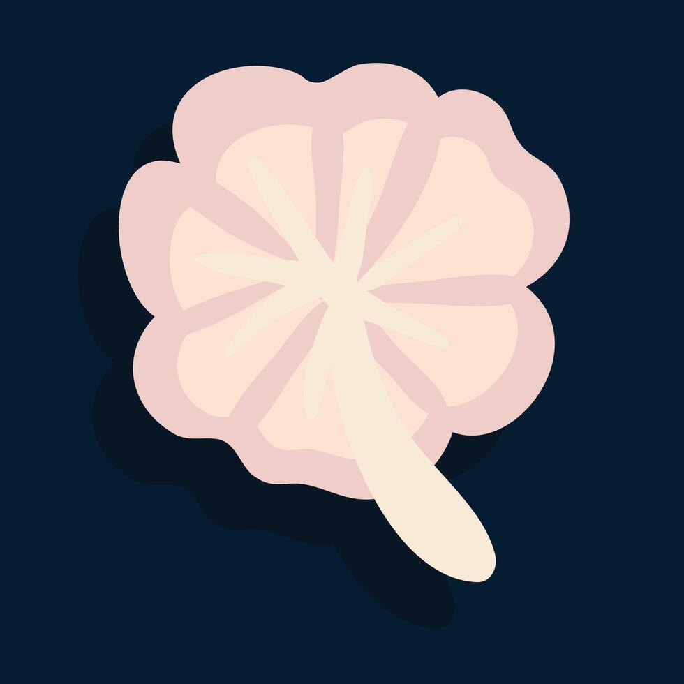 Garlic set. Head of garlic, cloves, peeled and husked vector