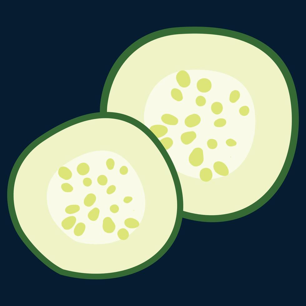 Vegetable Cucumber Seed vector