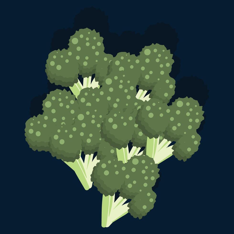 Cauliflower with leaves and stem drawing vector
