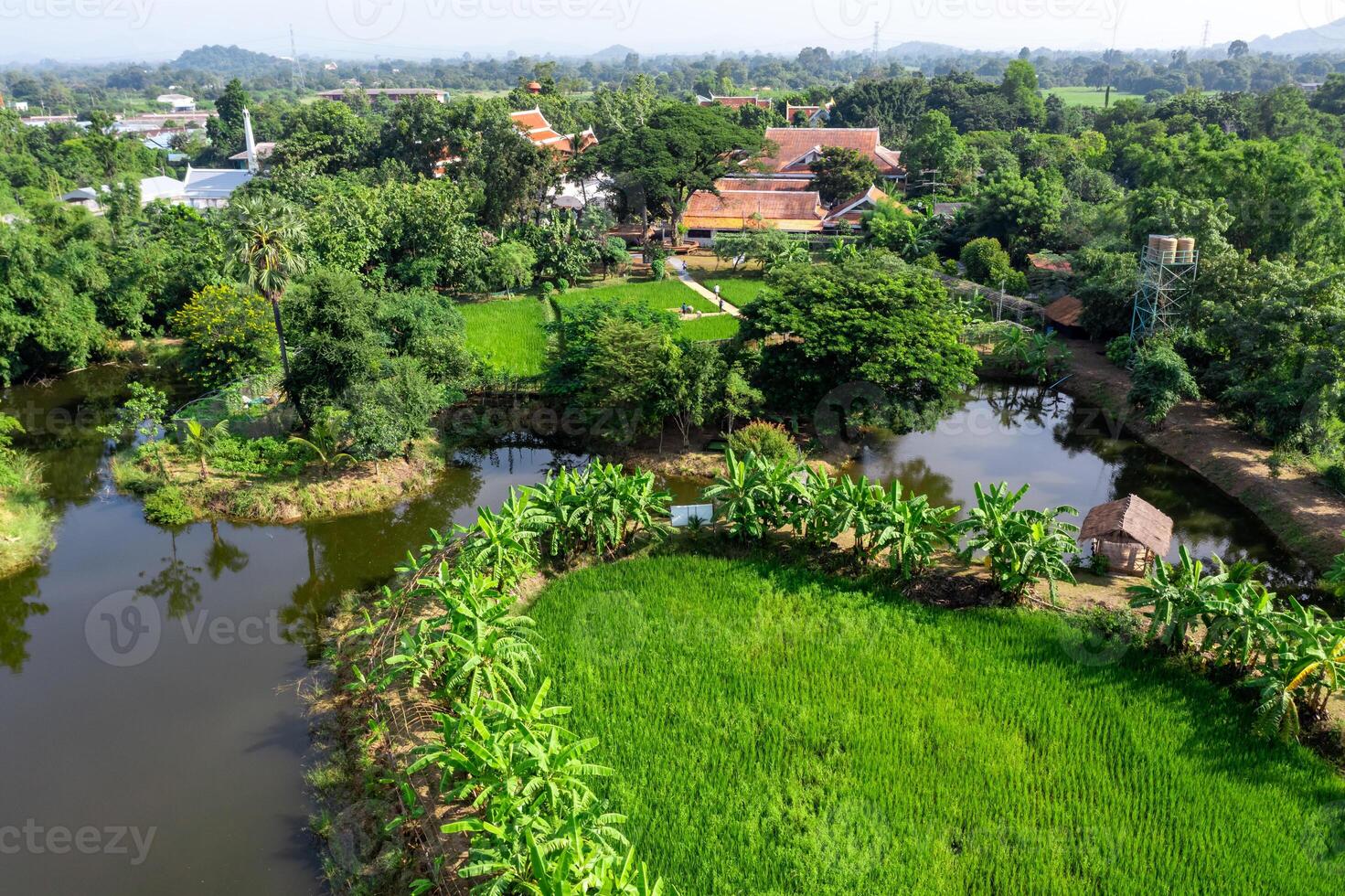 Drone view of Sufficiency Economy, Land full of agricultural activities with green rice fields, big ponds, and trees. Small houses and temple close by a pond. photo