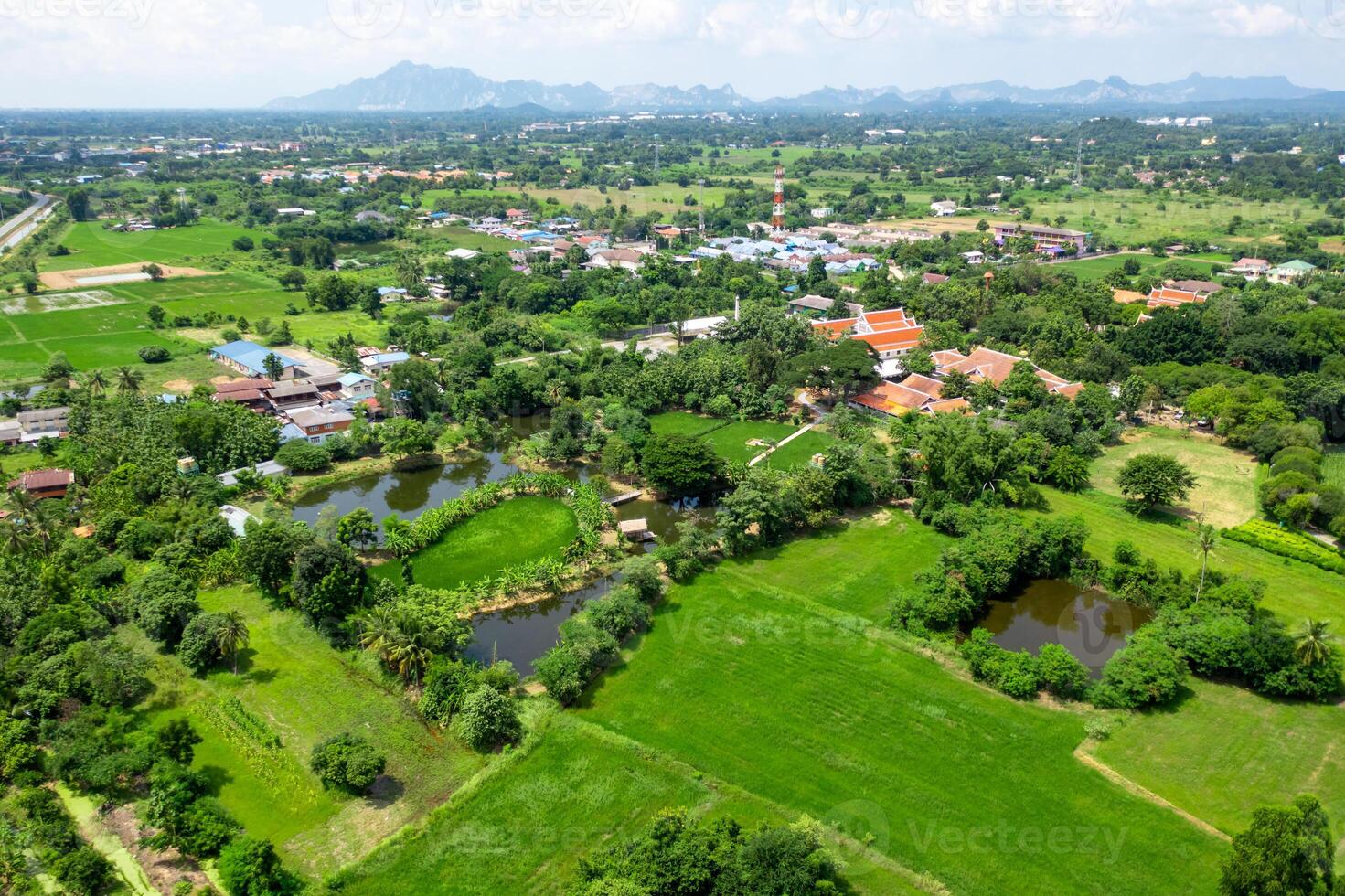 Drone view of Sufficiency Economy, Land full of agricultural activities with green rice fields, big ponds, and trees. Small houses and temple close by a pond. photo