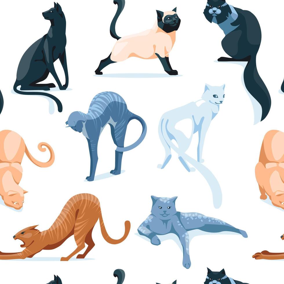 Pattern of cats. Flat illustration vector