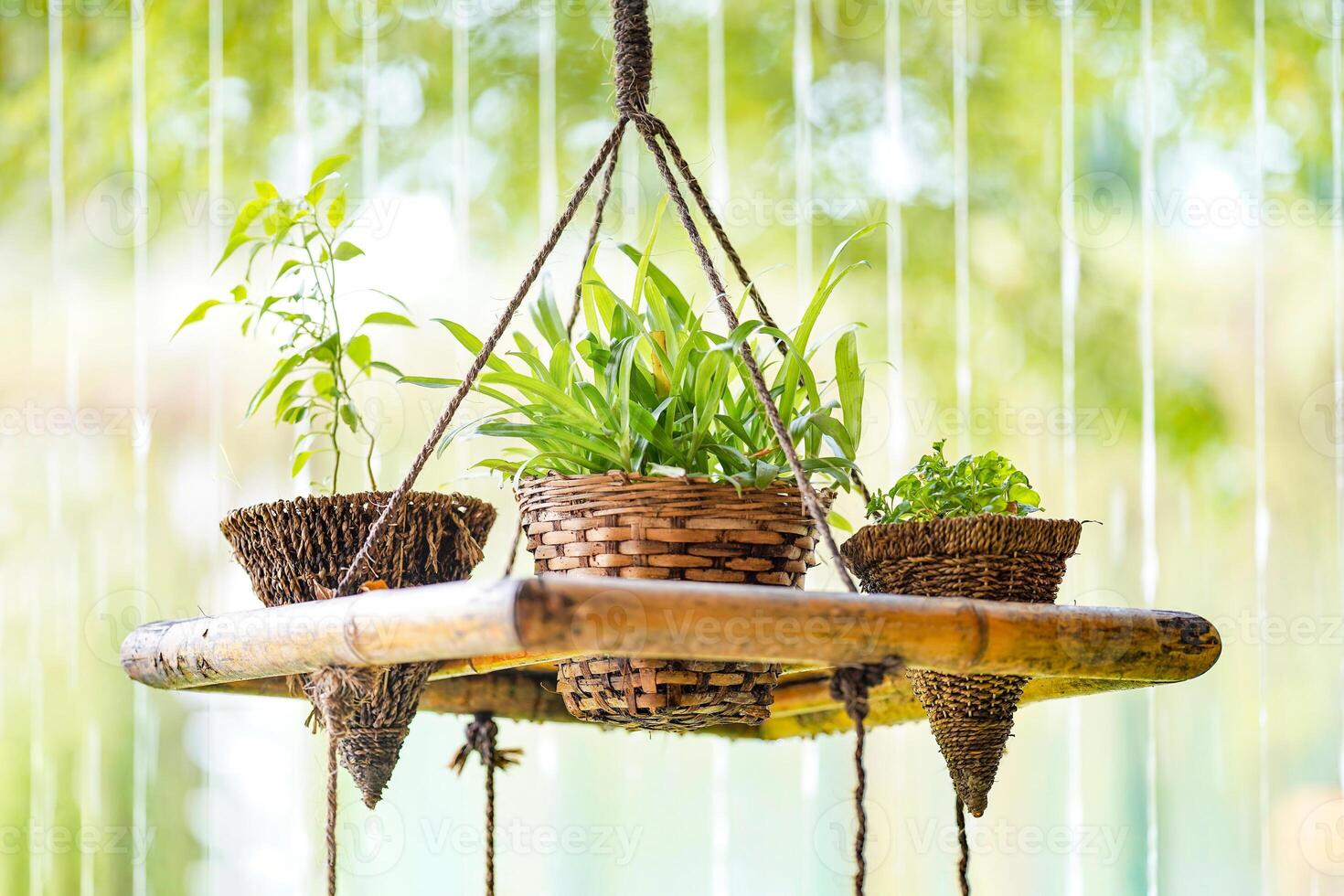 The little tree are planted in the wood wicker and lay down on the rope hanging with small line waterfall background behind. photo