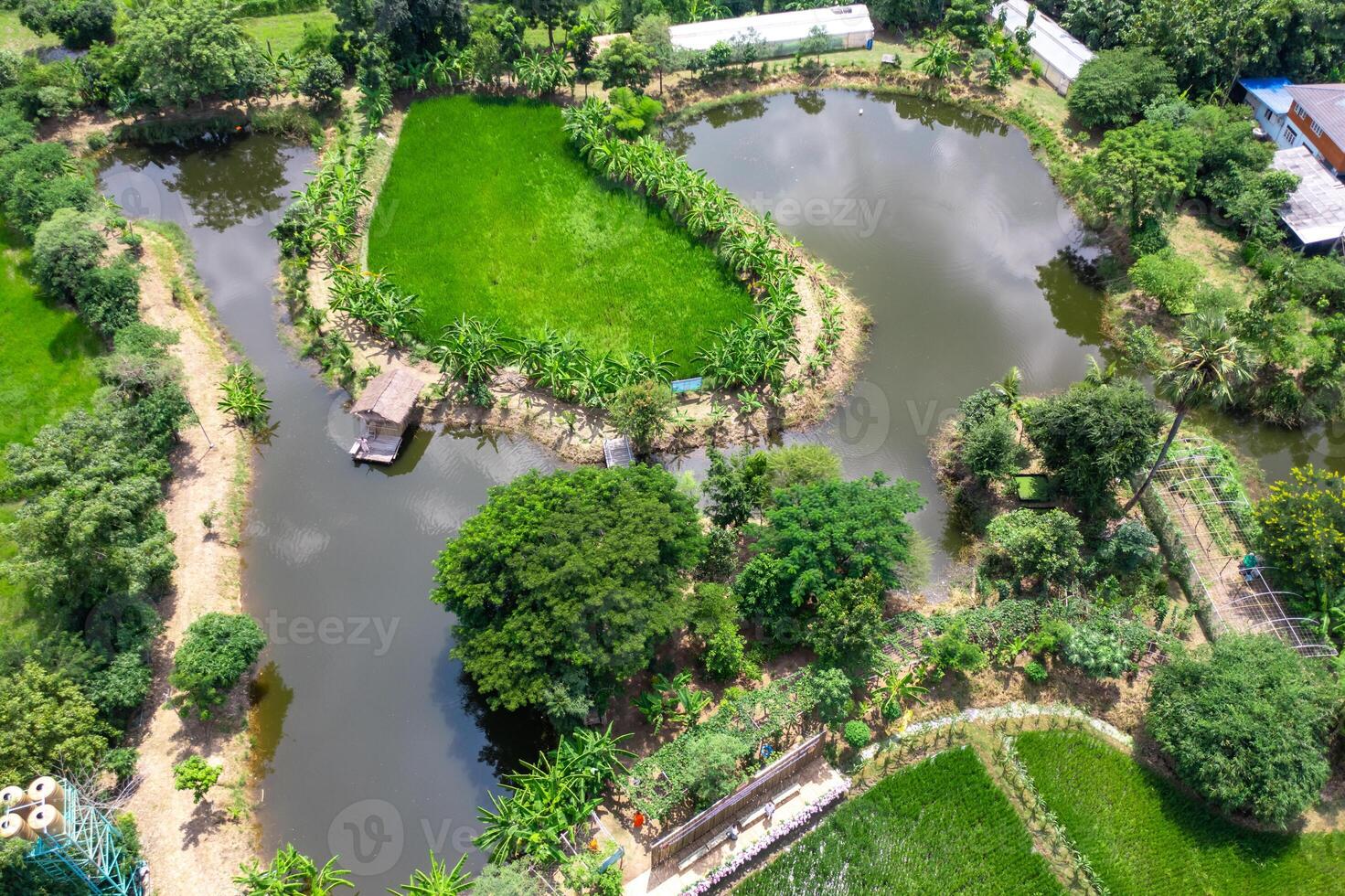 Drone view of Sufficiency Economy, Land full of agricultural activities with green rice fields, big ponds, and trees. Small houses and temple close by a pond. photo