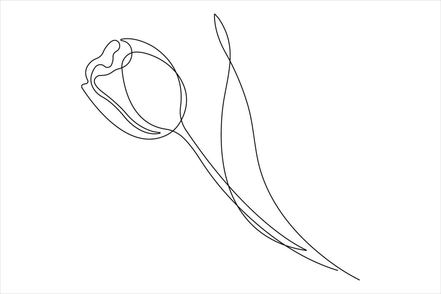 Continuous one single line drawing beauty tulip flower . Minimal tropical floral style, love romantic concept. vector