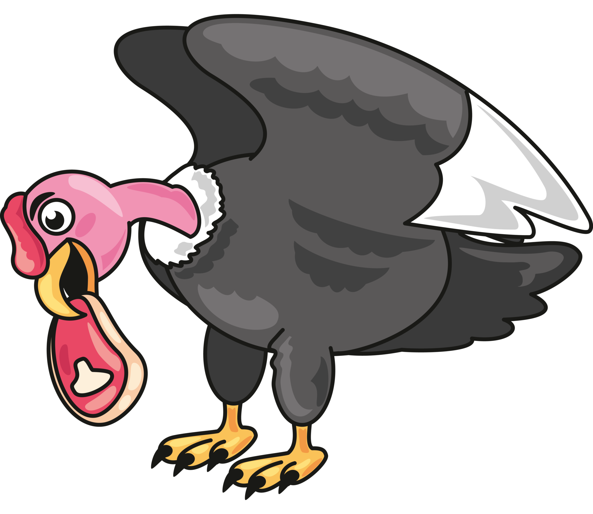 Awe Inspiring Encounter:  Human And Andean Condor - lehdybx