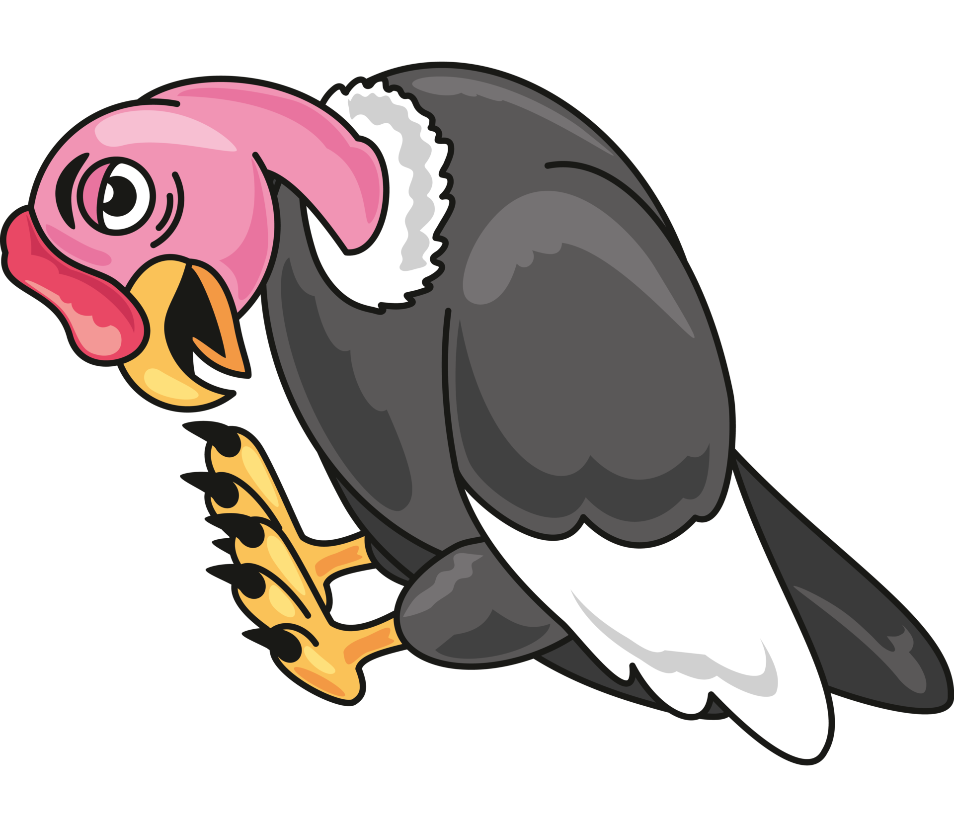 Awe Inspiring Encounter:  Human And Andean Condor - ofwx2pm