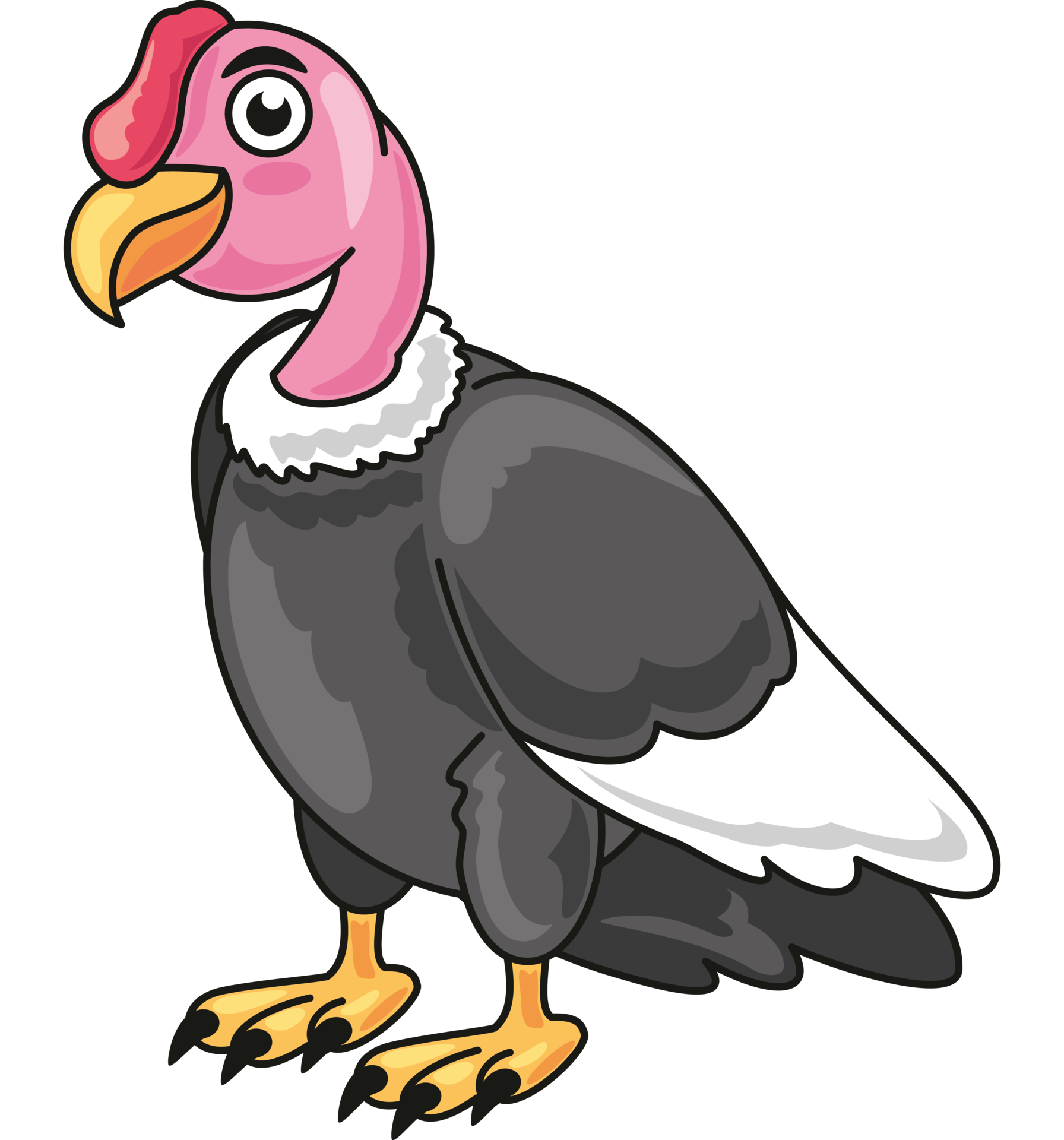 Awe Inspiring Encounter:  Human And Andean Condor - cuomrv1