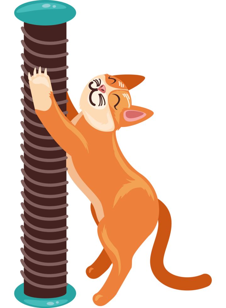 cat with scratching post rope png