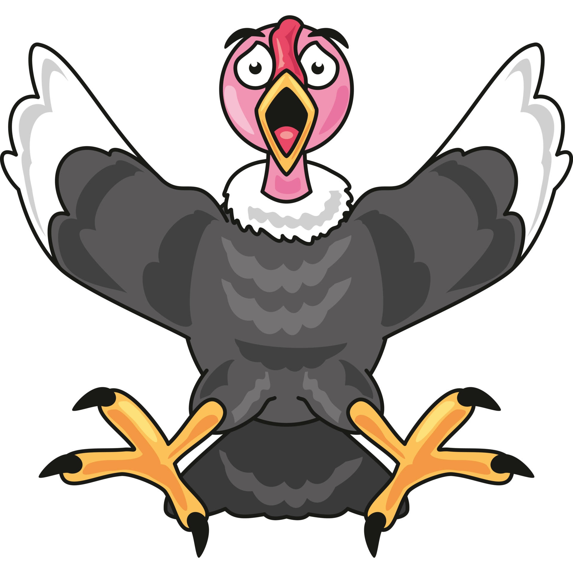 Awe Inspiring Encounter:  Human And Andean Condor - h7gk1xq