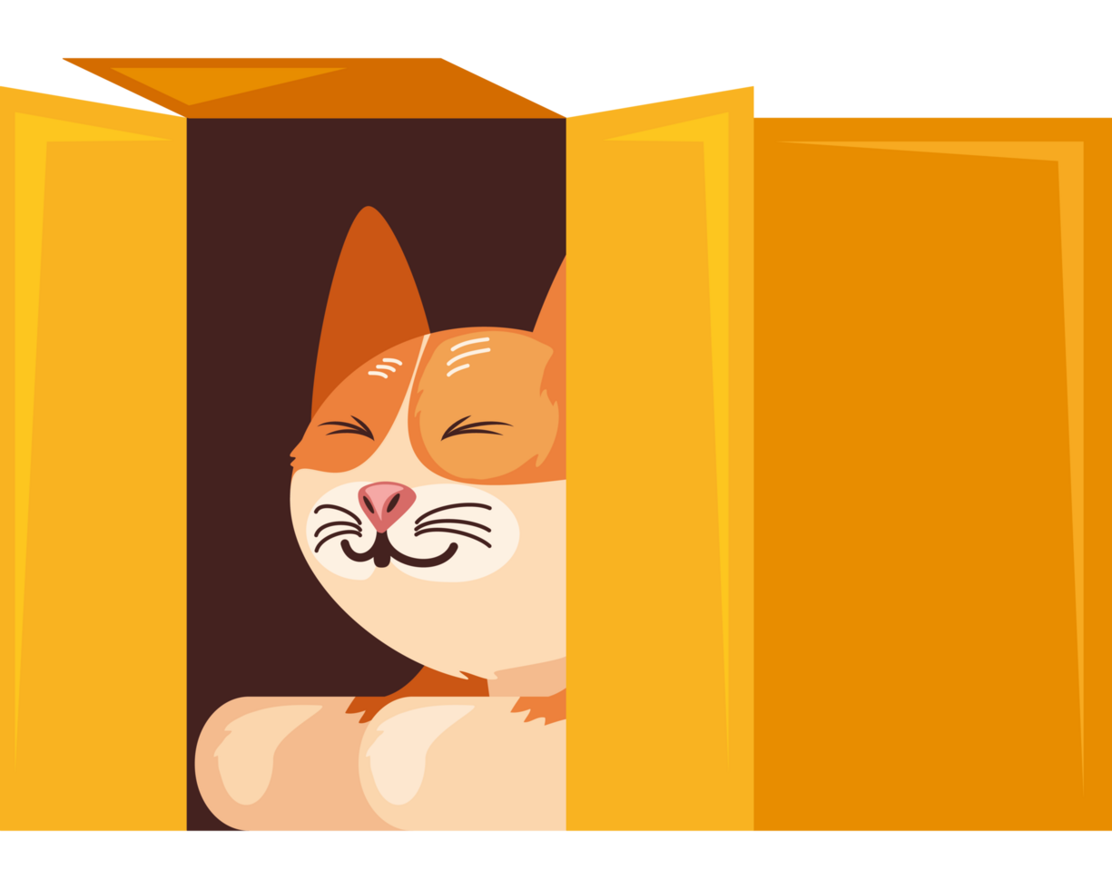 cute cat in box playing png