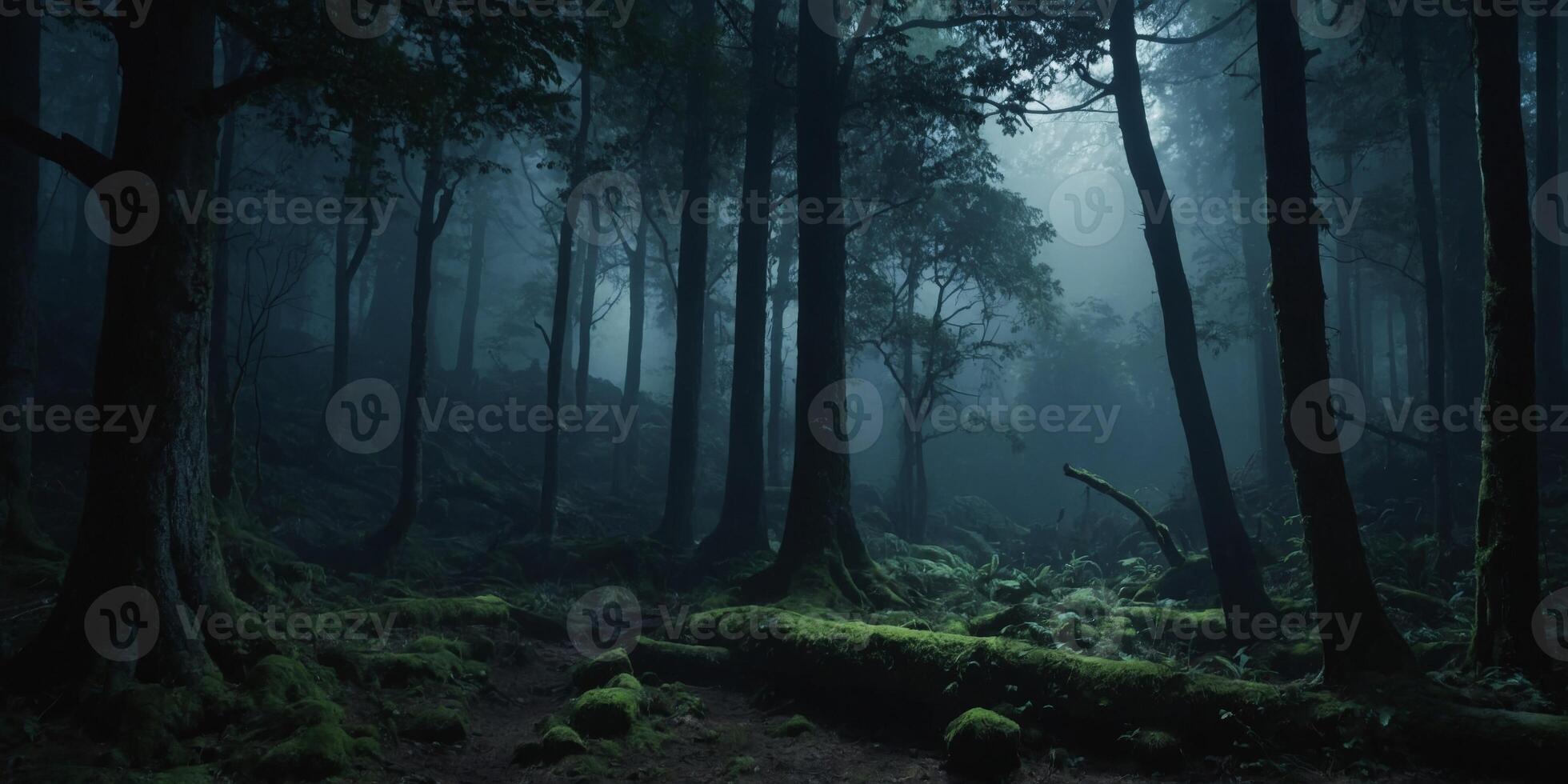 Dark night ancient woods Misty and foggy forest Fantasy forest cave. photo