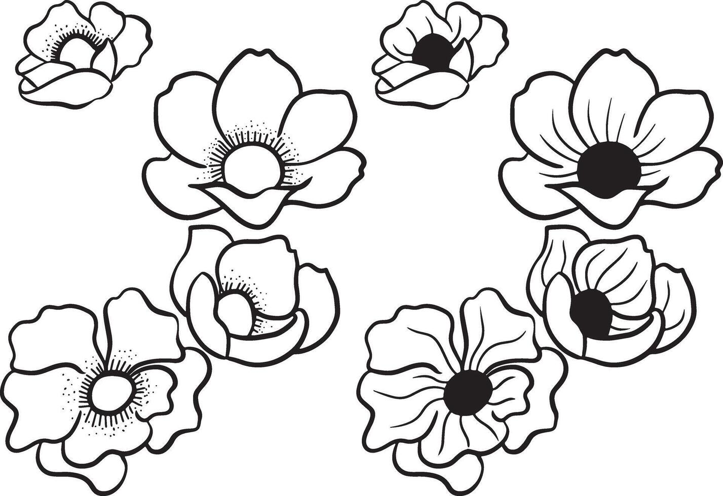 Black and white flowers illustration, coloring page vector
