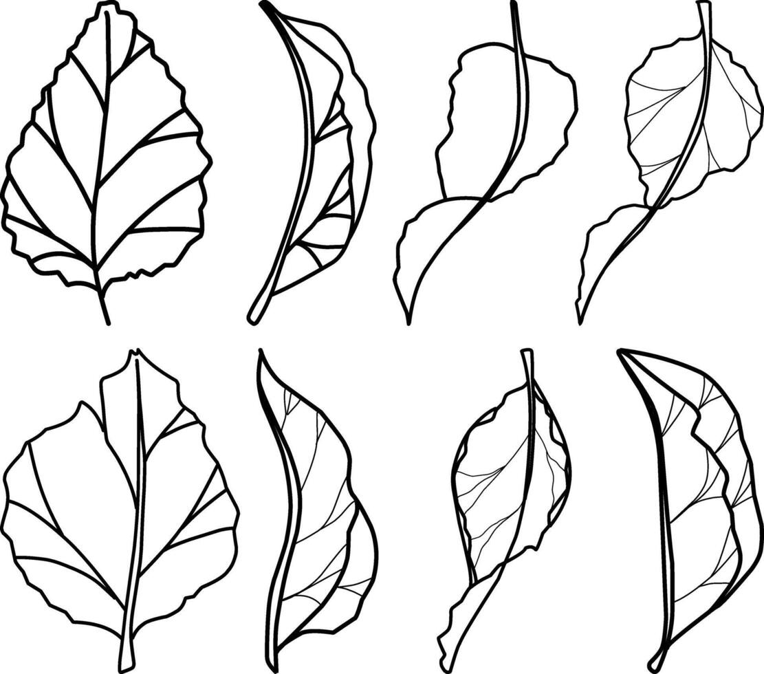 Hand drawn forest leaves set, illustrations, foliage vector