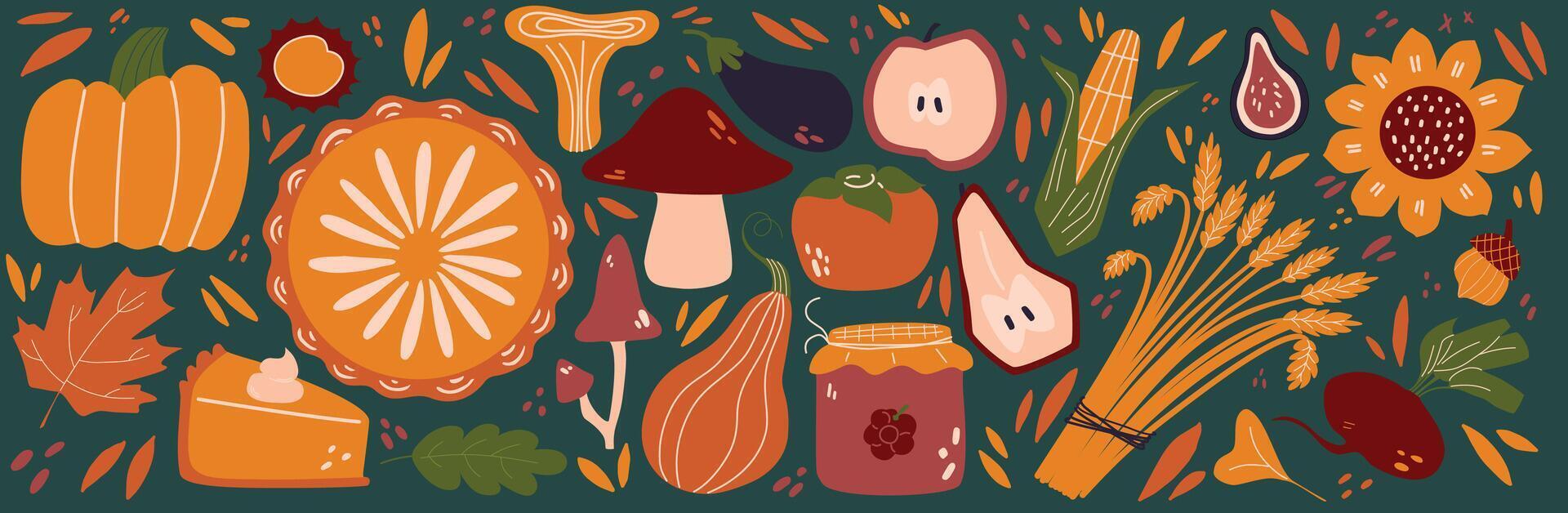 Set of autumn harvest. Fall crops. Background of autumn plants, vegetables and mushroom. vector
