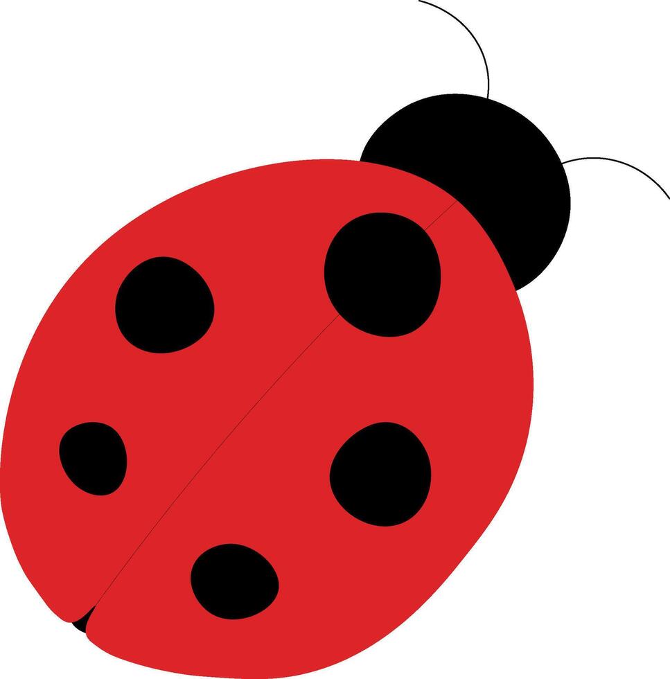 Hand drawn cartoon ladybug illustration vector