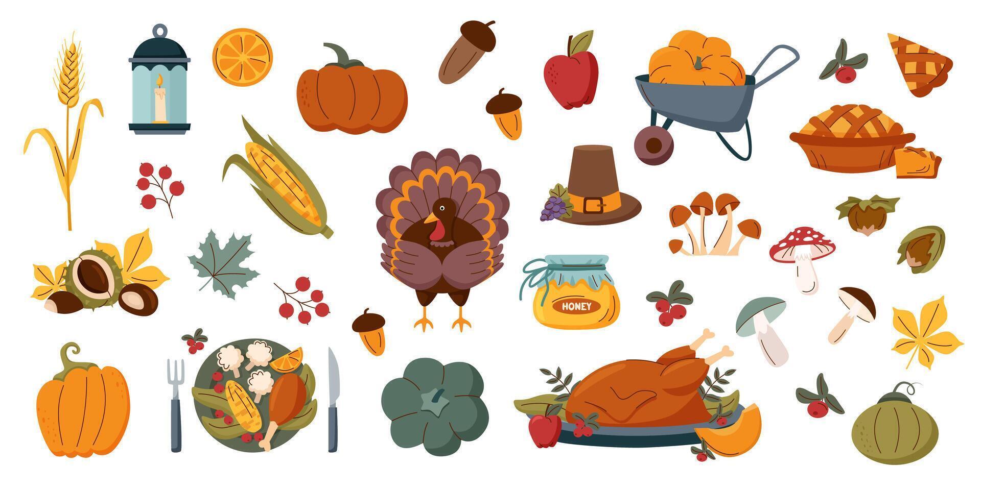 Set of Thanksgiving elements on white background. Thanksgiving, autumn and harvest concept. vector