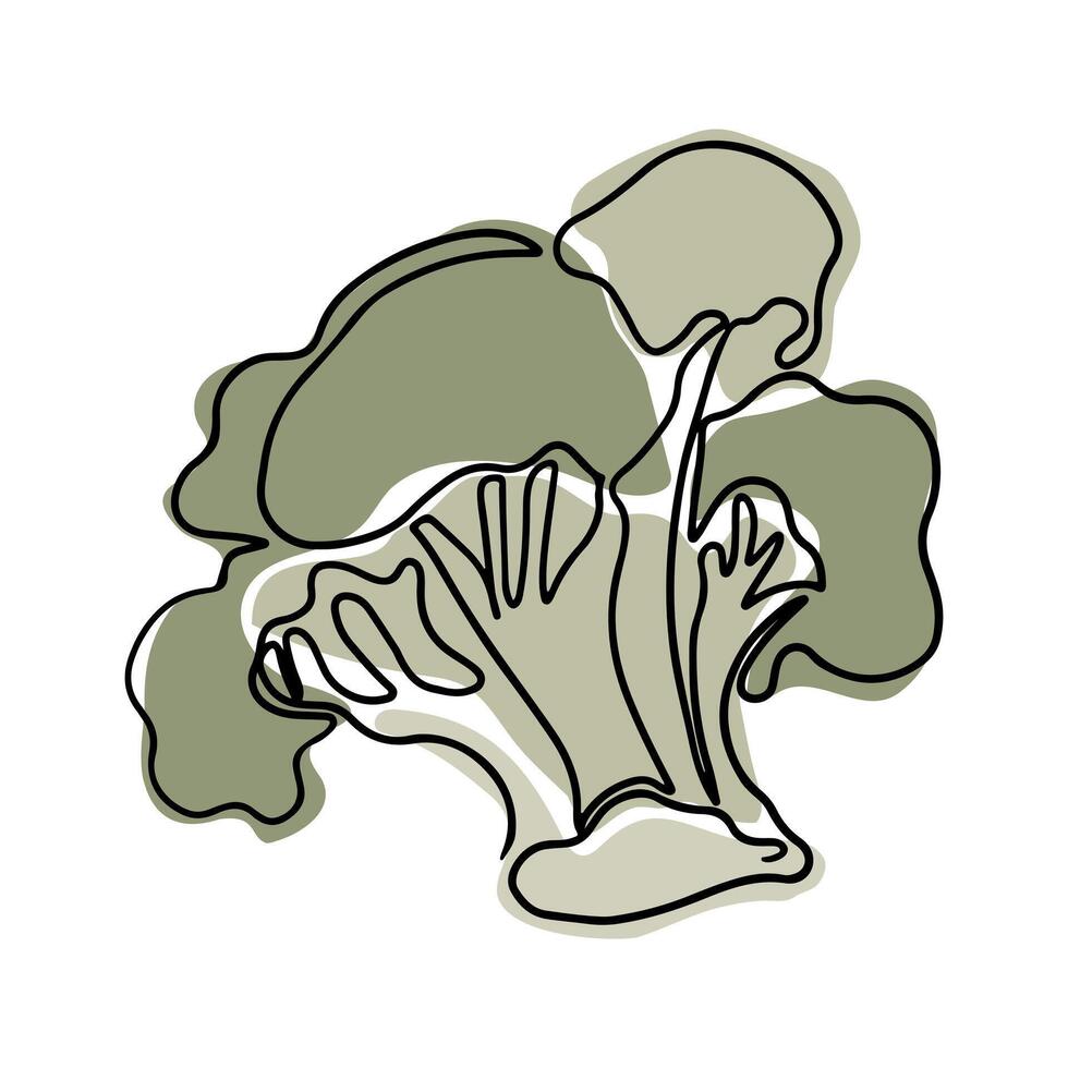 Vintage outline drawing of broccoli in boho style. Botanical single line retro drawing of vegetable. Contour line outline composition isolated on white background. vector
