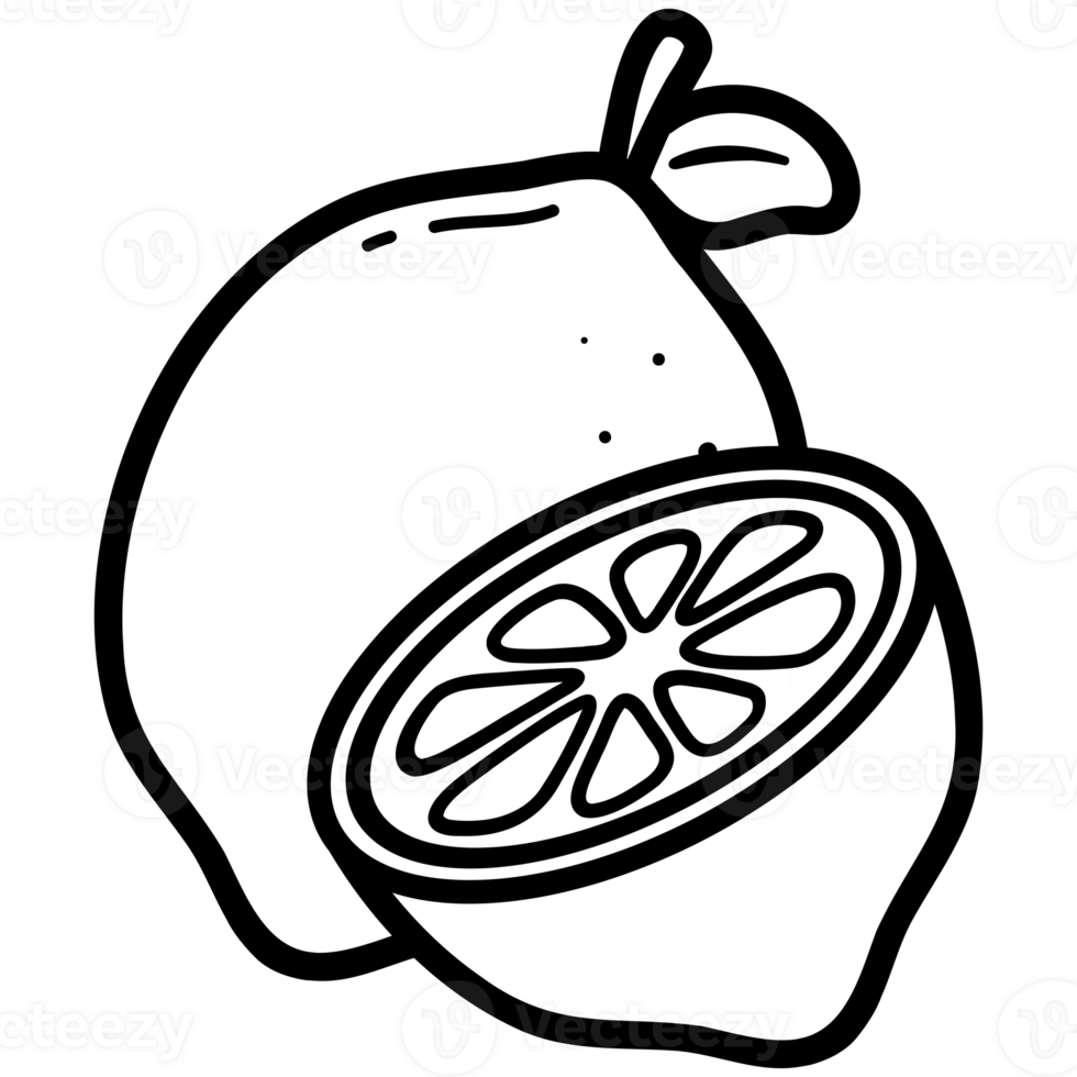 Sour lemon doodle png