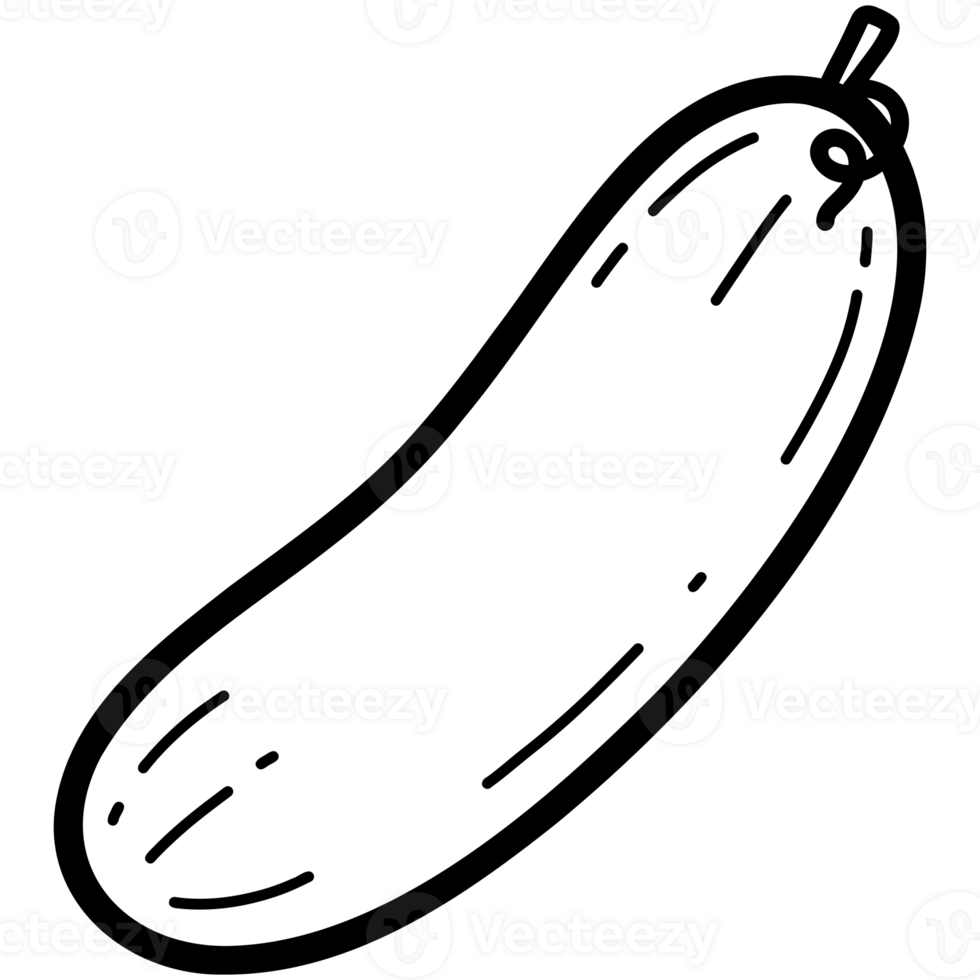 Fresh cucumber doodle png