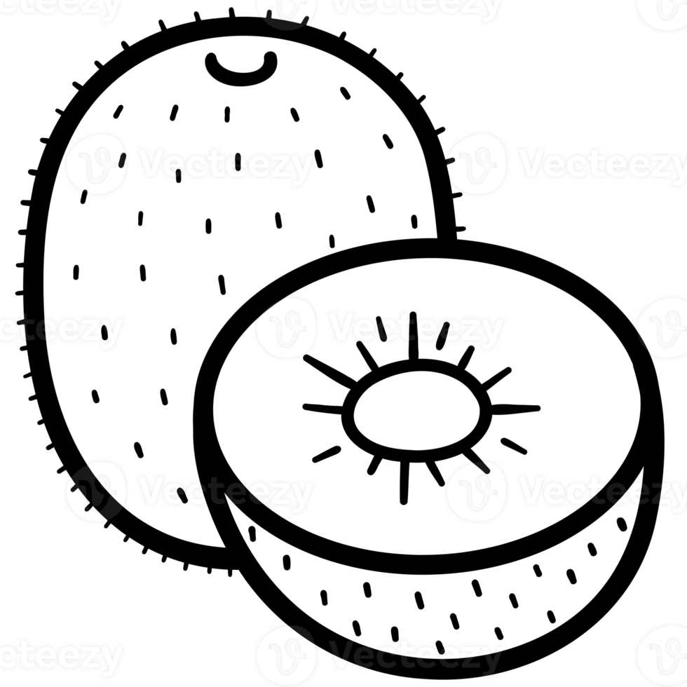 Sweet kiwi doodle png