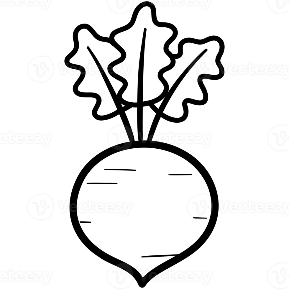 Beat root doodle png