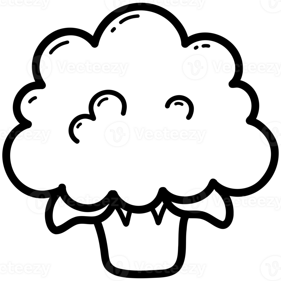 Cauliflower veggie doodle png